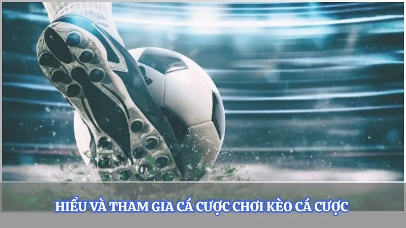 Hiểu và tham gia cá cược chơi kèo cá cược 