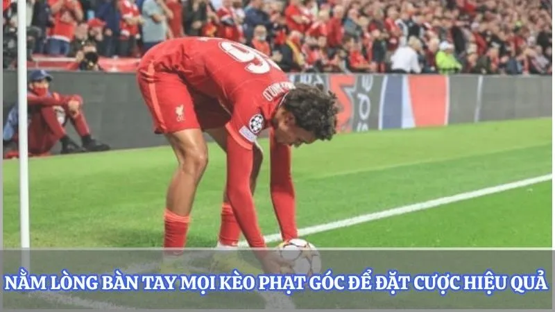 Nằm lòng bàn tay mọi kèo phạt góc để đặt cược hiệu quả 