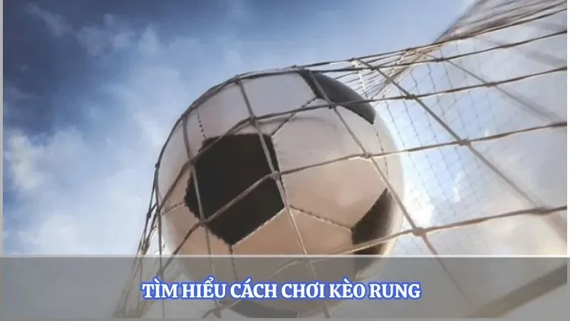 Tìm hiểu cách chơi kèo rung  