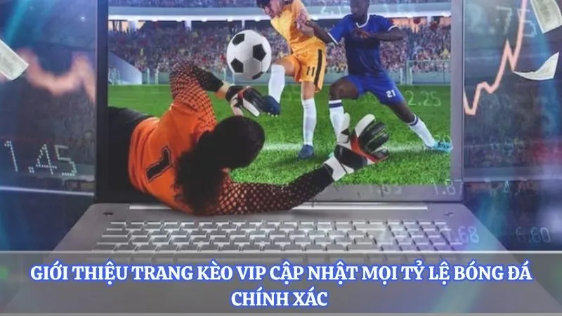 Giới thiệu trang kèo vip cập nhật mọi tỷ lệ bóng đá chính xác